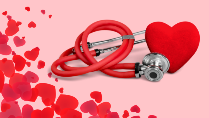 Kalp ve Damar Sistemi Sağlığının Muhafızları